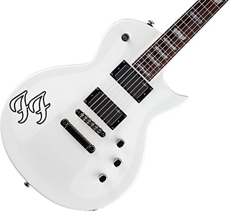Foo Fighters Guitar Body Decal Sticker Graphic, Black