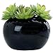 MyGift® Decorative Modern Glazed Black Ceramic Potted Green Artificial Succulent Planter Pot