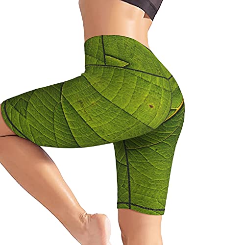 Inaayayi Hoge Taille Yoga Shorts Groen Blad Eco Textuur Creatieve Groene Blad Texturen Vrouwen Bike Shorts Tummy Control… - Image 6