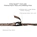 XSTRAP Cam Buckle Straps 6PK 8FT Powersports Tie-Downs 1-Inch Camouflage
