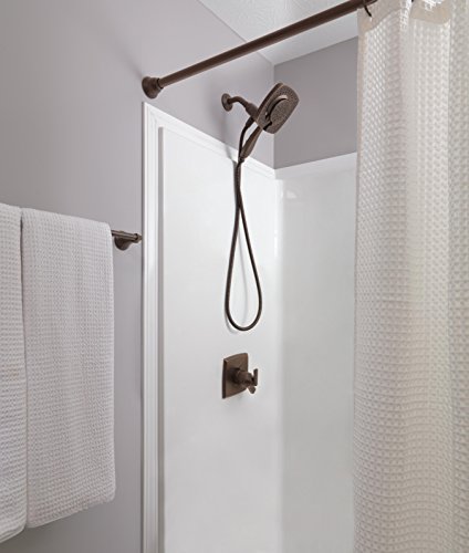delta ashlyn handheld shower