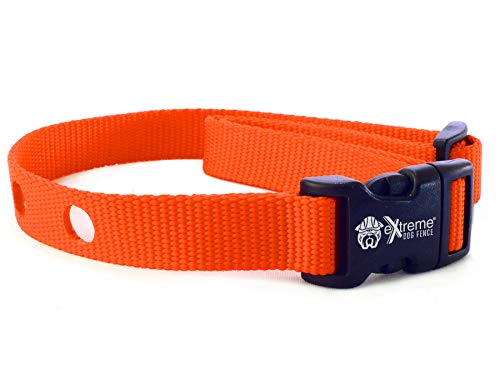 Extreme Dog Fence Dog Collar Replacement Strap – Bright Orange – Compatible with Nearly All Brands and Models of Underground Dog Fences