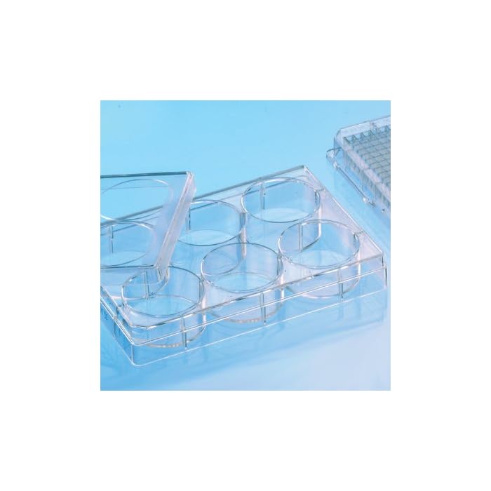 Buy Greiner BioOne 657160 CELLSTAR Cell Culture Multiwell Plate with