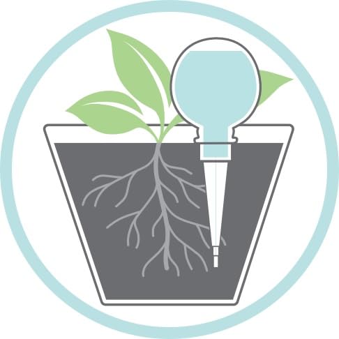 View 8