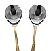 Serving Spoons Set Of 2 Indian Dinnerware Serveware
