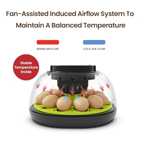 Incubators for Hatching Eggs 12 Egg Lab Incubator with Automatic Egg Turning and Humidity Display,Auto Water Replenishment,for Chicken Eggs and Quail Egg