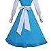 Aspire Waist Apron, Cosplay Long Vintage Server Half Apron, Cotton Victorian Pinafore for Costume Maid