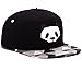 Pierre LaMarreDS Cool Men's Snapback Baseball Cap Geometric Panda Hip Pop Hat