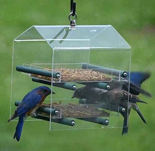 3 Appetizing+Mealworms+5lbs+100+Non+GMO+Dried