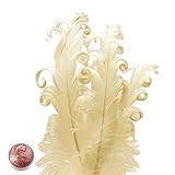 Ivory Nagorie Goose Feathers, 5" to 7" (10/Pack)