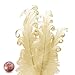 Ivory Nagorie Goose Feathers, 5" to 7" (10/Pack) primary