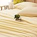 SONORO KATE Bed Sheet Set Super Soft Microfiber 1800 Thread Count Luxury Egyptian Sheets 18-Inch Deep Pocket Wrinkle and Hypoallergenic-4 Piece(Queen Ivory)