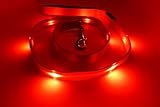 GoDoggie USB Rechargeable Glow LED Dog Leash, 4 Feet, Red