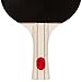 BeLegend Ping Pong Paddle Set (4 Rackets, 3 ping Pong Balls and case) - Pro Level ping Pong Table Tennis Racquet Set