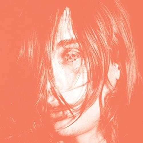 Deerhunter, David Barbe, Drew Vandenberg, Nicolas Vernhes