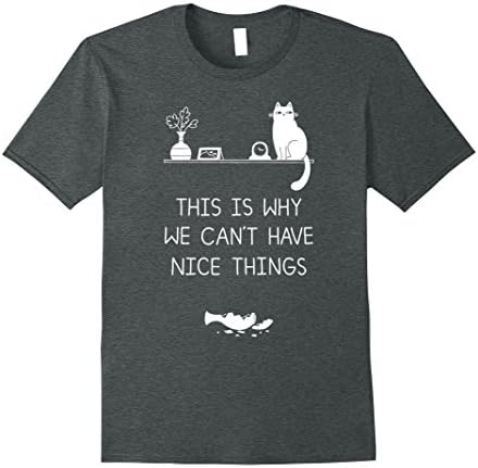 Mens This Is Why We Can't Have Nice Things T-Shirt Large Dark Heather