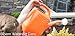 Bloem Classic JW Watering Can, 2 Gallon, Union Red (JW82-12)