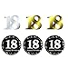 18th BIRTHDAY PARTY DECORATIONS KIT - Cheers to 18 Years Banner, Sparkling Celebration 18 Hanging Swirls, Perfect 18 Years Old Party Supplies 18th Anniversary Decorations