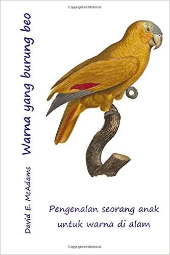 58 Koleksi Gambar Burung Beo HD Terbaru