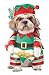 Elf Pup Dog Costume Large