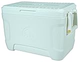Igloo Marine Contour Cooler, 25 Quart 23 L, White