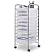 Giantex 10 Drawer Rolling Storage Cart Scrapbook Paper Office School Organizer (Clear)