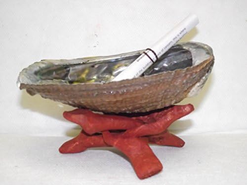 Smudge Kit for Smudging Sage with Shell Directions and Stand Purification