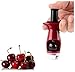 Pit Puncher Cherry Pitter and Olive Stoner Remover Tool