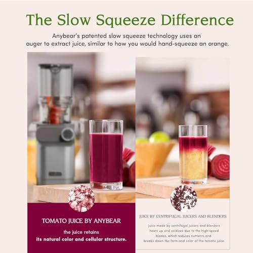 Anybear Cold Press Juicer, 200W Slow Masticating Juicer 4.3" Large Feed Chute Fit Whole Fruits Vegetables | Upgraded Auger | Tritan Materials | BPA Free | Easy to Clean with Brush (Silver Gray)