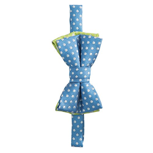 Elegant Baby Boy Zoom Zoom Bow Tie (Blue Dots)