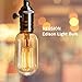 Edison Light Bulbs,HESSION T45 40w Vintage Antique Tungsten Filament Incandescent Bulbs,E26 Base Light Bulbs for Decorative Pendant Lighting Dimmable 110V Amber Glass(6 Pack)