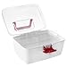 MyGift First Aid Clear Top Case w/Removable Tray & Handle, Family Emergency Kit Storage Organizer