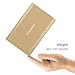 Polanfo power bank 20000mAh Portable Charger External Battery-Gold