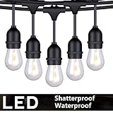 FOXLUX Outdoor String Lights - 48 ft Shatterproof and Waterproof Heavy-Duty LED Outdoor Lights - 15 Hanging Sockets, 1 W Plastic Bulbs - Create Ambience for Patio, Backyard, Garden, Bistro, Cafe