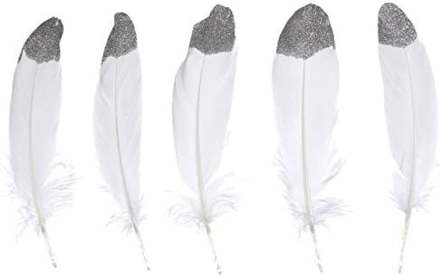 WAKEACE20pcs Goose Feather Simulation Gold 6-8 Inches / 15-20 Cm in Bulk for Craft Party Decoration Goose Feathers 20pcs/Pack/ (Silver&Gold)