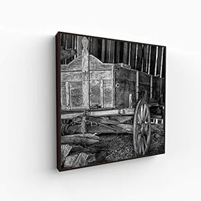 Canvas Wall Art for Living Room, Bedroom Silence Framed Canvas Prints for Home Decoration Ready to Hang - 16x16 inches