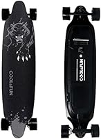 COLORWAY HB10 Elektro-Longboard Elektro Skateboard E Skateboard für Erwachsene & Jugendliche 2019