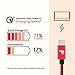 RAMPOW Red USB-C to USB-A Charge Cable, Certified (3.3ft, USB 3.0) Double-Braided & Durable Type-C Charger Cord, Compatible with Android, Samsung Galaxy S9/S8, Note 9, LG, HTC and More