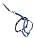 PetSafe Come with Me Kitty Cat Harness & Bungee Leash - Comfortable No-Choke Harness with Lightweight Bungee Leash for Outdoor Fun - Escape Free Pulling Prevention - Small - Royal Blue
