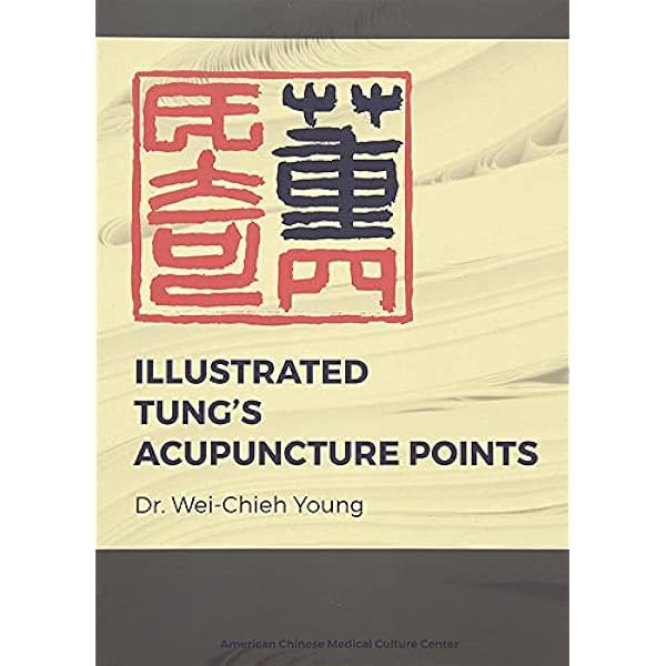Acupuncture Energetics 東洋医学 The Five Element Points of Acupuncture Charts 8.5