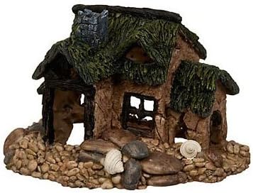 Amazon Com Petco Fish Farm Aquatic Decor Aquarium Decor