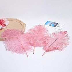 24pcs Natural Lotus Pink Ostrich Feathers 10-12inch