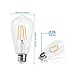 Edison Style Dimmable 4W E26 Base High Efficiency Warm White 2700K Practicality LED Bulbs 40W Light Bulbs Equivalent 6 Pack