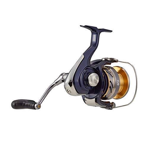 Daiwa Spinning Reel 20 Crest LT6000-H | eBay