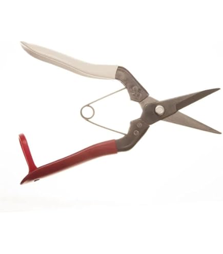 Amazon.com: Okatsune No. 307 Fruit Shears 7.1 inches (180 mm