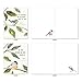 The Best Card Company - 20 Blank Notes with Envelopes - All Occasion Animal Assortment (10 Designs, 2 Each) - Scripture Birds AM7108OCB-B2x10-NB
