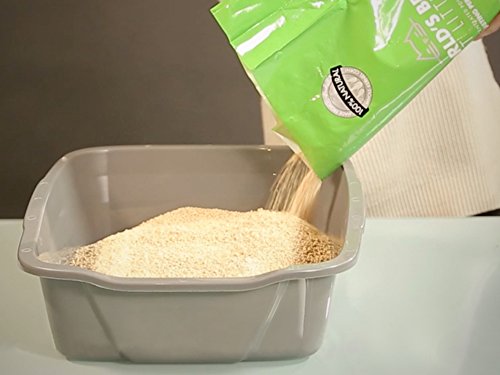 World's Best Cat Litter Clumping Litter Formula, 28-Pounds