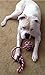 2 Pack Tug of War Dog Rope Toy for Medium or Large Breed Chew PUPTECK