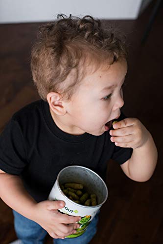 4 Sprout+Cinnamon+Canister+Certified+Artificial