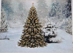 OSW Lighted Winter Evergreen Trees Scene LED Art Canvas Light up Picture